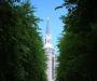 Temple Through the Trees