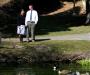 Duck Pond Couple II