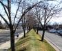 Artificial Hill