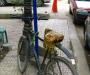Biking, Arab Style