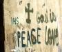 Arabis Want Peace