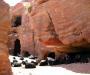 Bedouin Goats