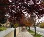 Autumn road