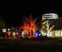 Christmas lights on campus