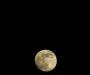 The moon