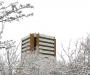 Kimball Tower snowfield