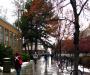 Rainy day
