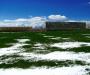 Confused spring