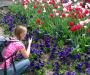 Flower photography
