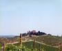 Tuscan Vinyard